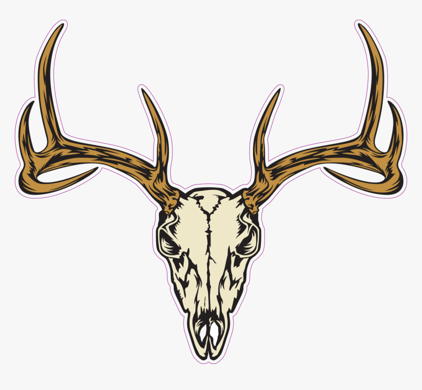 Deer Skull Decal Png - Deer Head Deer Skull Vector, Transparent Png, Free Download