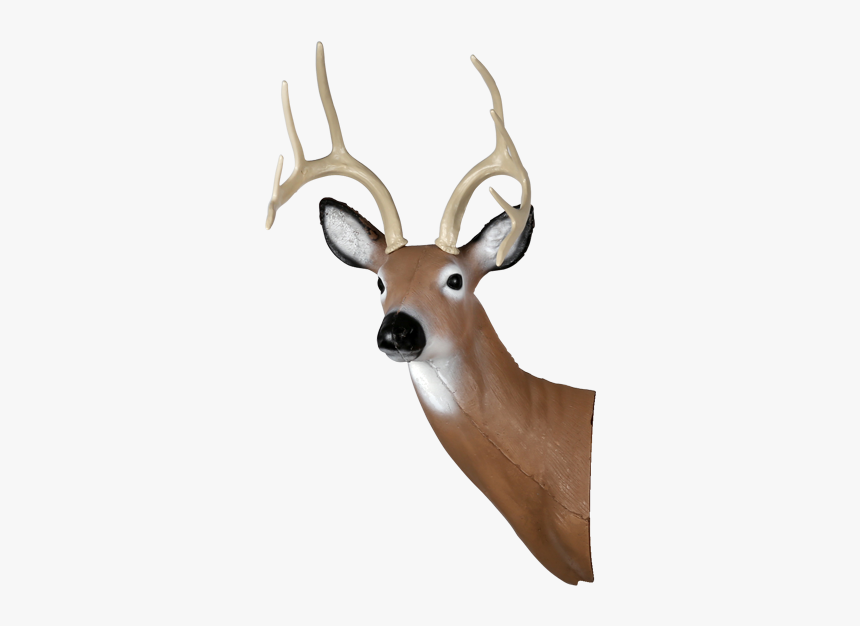 Picture 1 Of - Deer Body, HD Png Download, Free Download