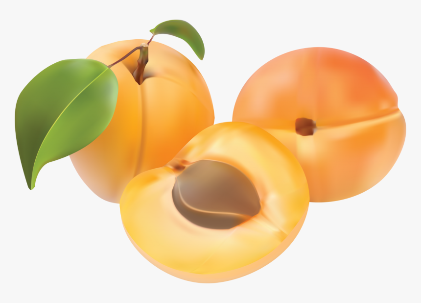 Peaches Png Image - Abricot Fruit Clipart, Transparent Png, Free Download