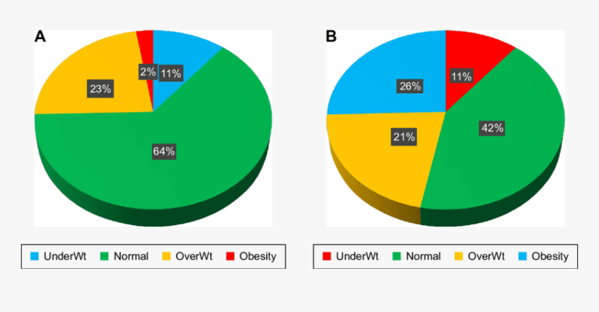 World Health Organization Obesity Chart, HD Png Download, Free Download