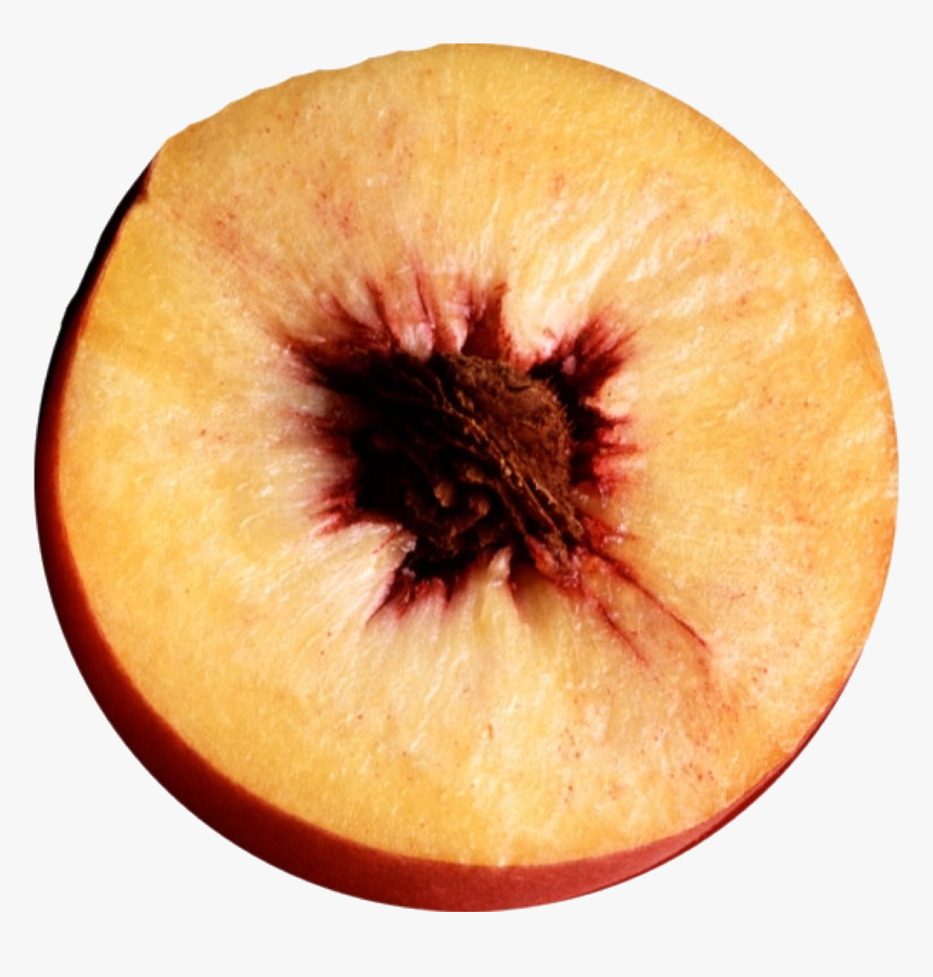 Peach Png Moodboard, Transparent Png, Free Download
