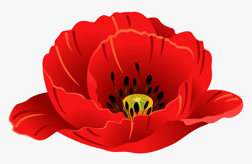 Patriotic Images, Art Images, Poppies, Clip Art, Art - Single Poppy Transparent Background, HD Png Download, Free Download