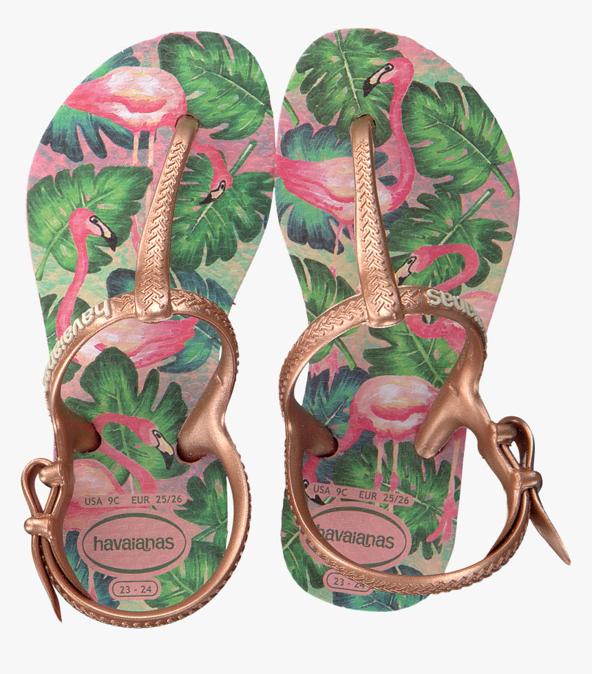 havaianas 26