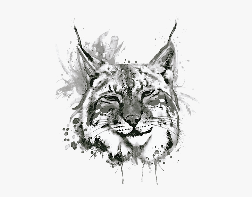 Watercolor Bobcat Painting, HD Png Download, Free Download