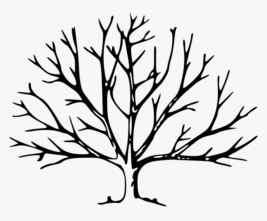 Change Your Life - Tree With No Leaves Drawing, HD Png Download, Free Download