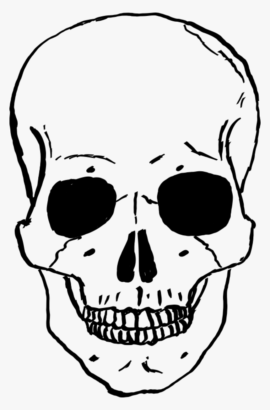 Skulls Png Image - Skeleton Drawing Face, Transparent Png, Free Download