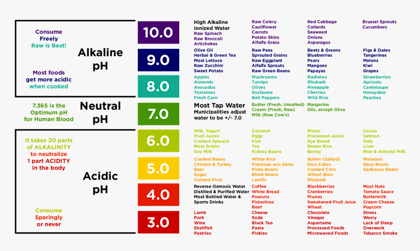 Child Urine Ph, HD Png Download, Free Download