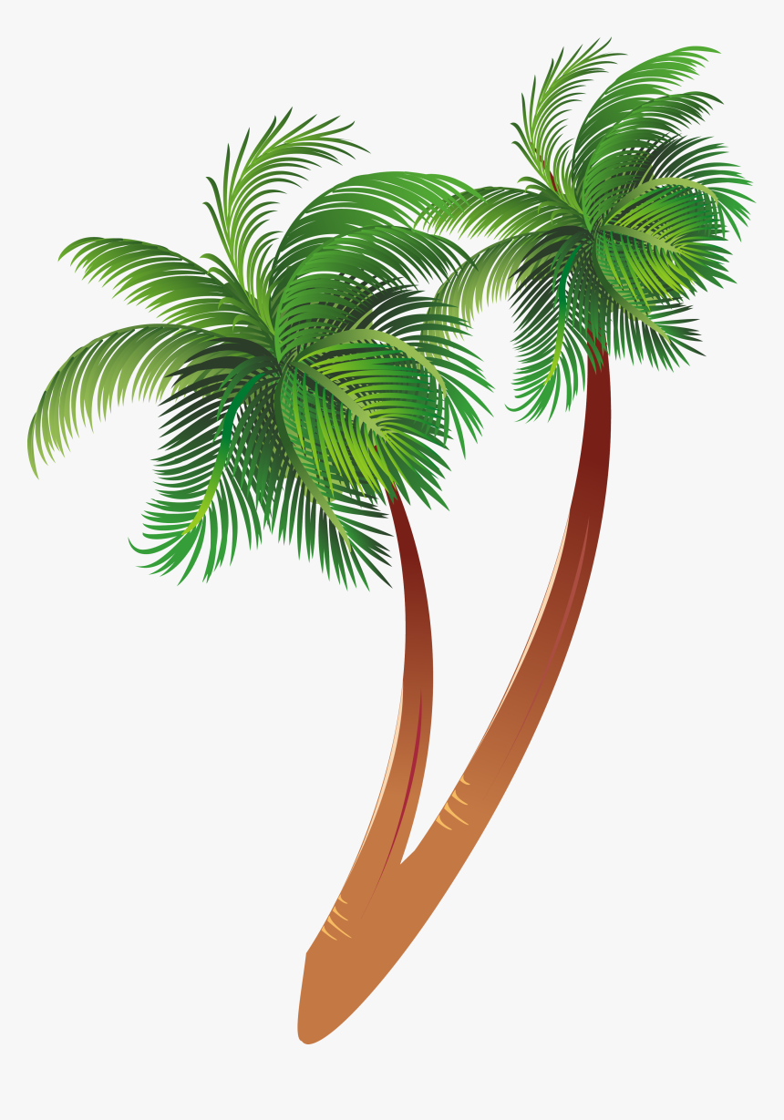 Free Download Cartoon Palm Tree Clipart Coconut Palm - Transparent Background Coconut Tree Clipart, HD Png Download, Free Download