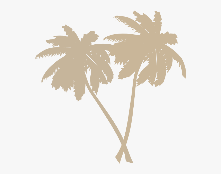 Coconut Tree Png Black , Png Download - Vector Palm Tree Png, Transparent Png, Free Download