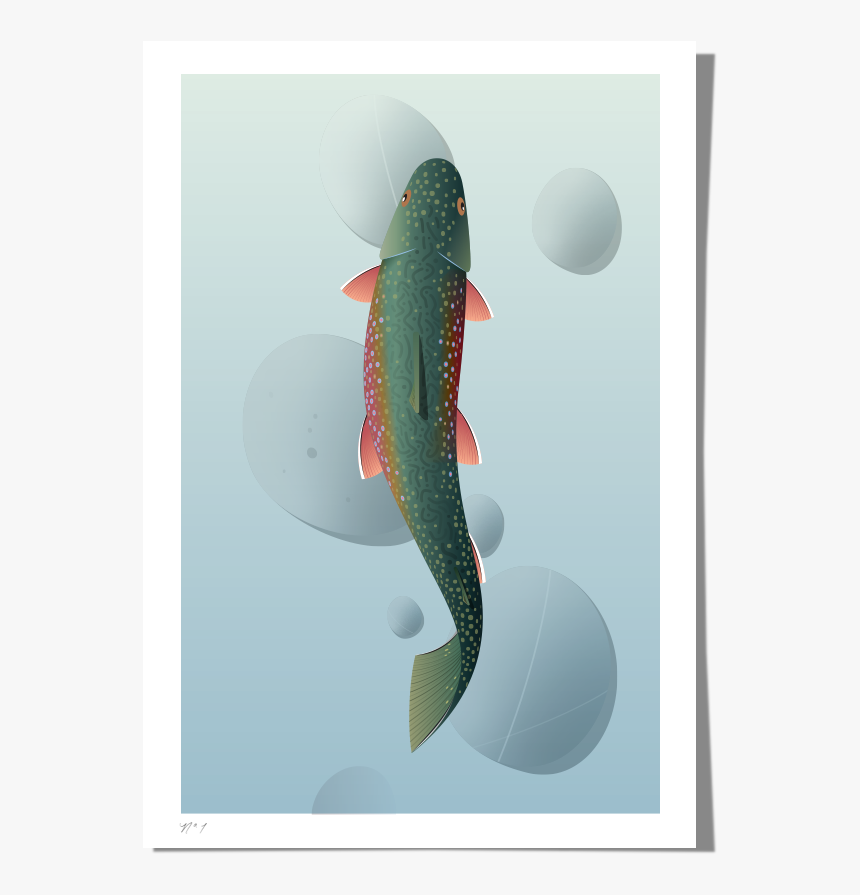 Rkr Print Trout - Trout, HD Png Download, Free Download