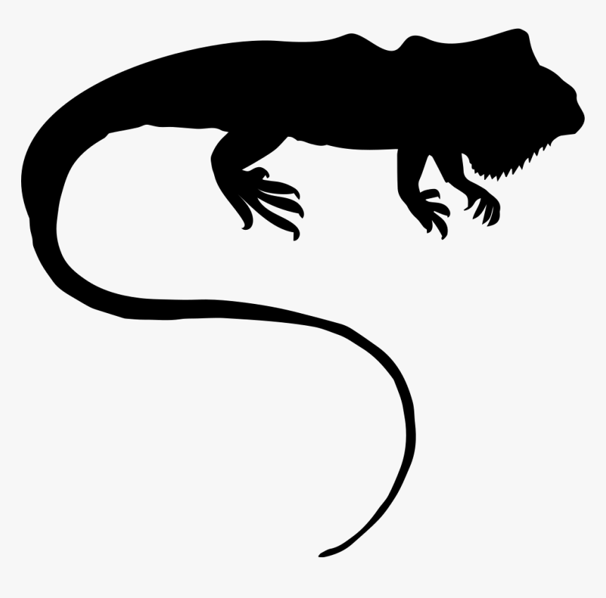 Iguana Silhouette - Silhouette Iguane, HD Png Download, Free Download