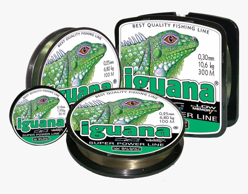 Iguana, HD Png Download, Free Download
