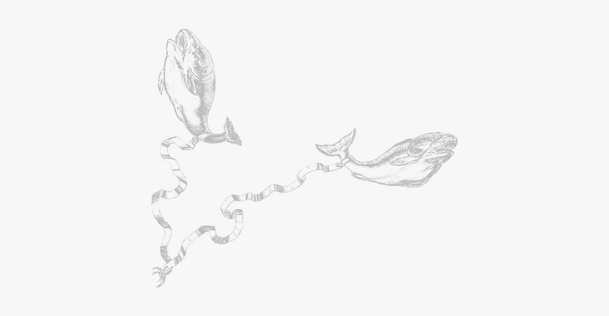 Sketch, HD Png Download, Free Download