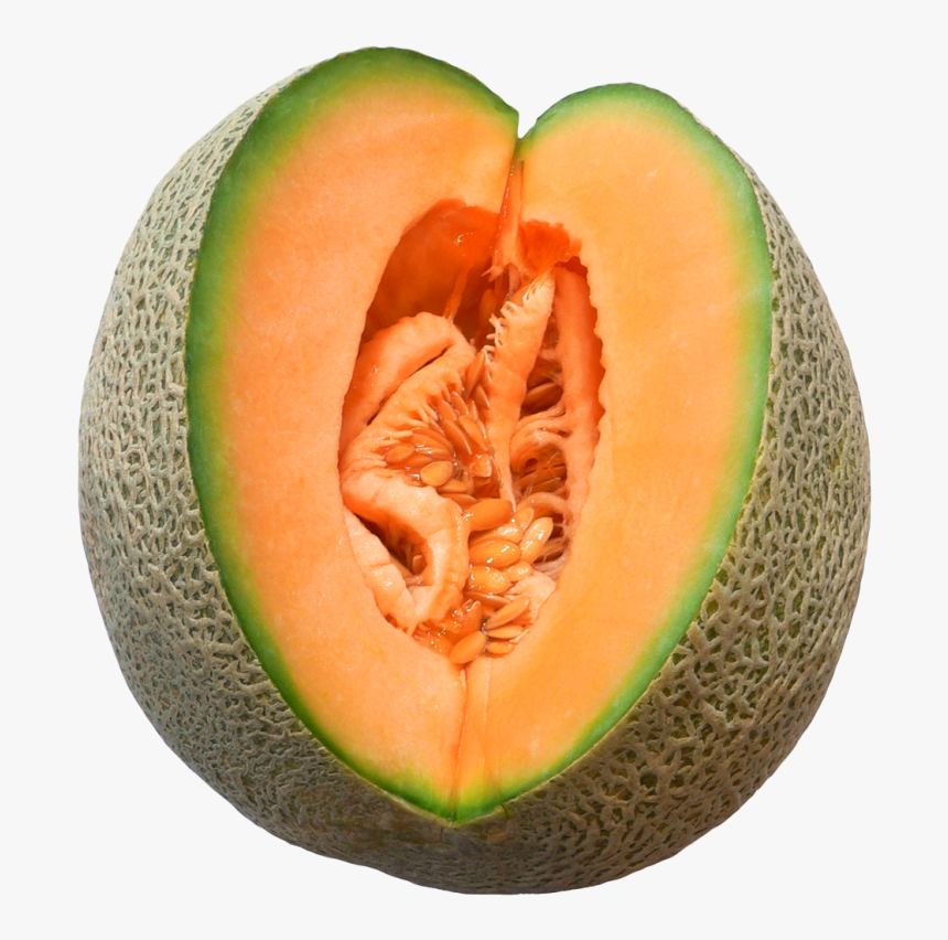 Winter Melon Cut Png Image - Melon En Png, Transparent Png, Free Download