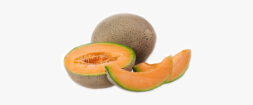 Cantaloupe Melon - Cantaloupe Melon Transparent Background, HD Png Download, Free Download