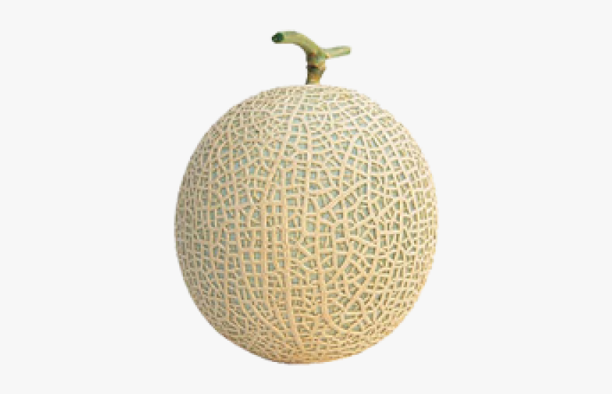 Japan Melon, HD Png Download, Free Download