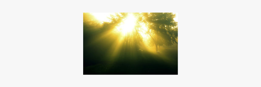 Sunlight, HD Png Download, Free Download