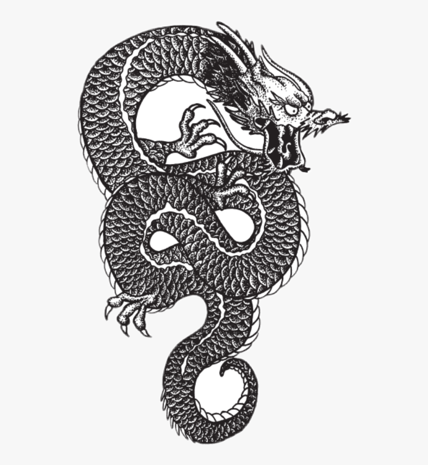 #dragontattoo #tattoo #aesthetic # Dragons #dragon - Aesthetic Dragon Art, HD Png Download, Free Download