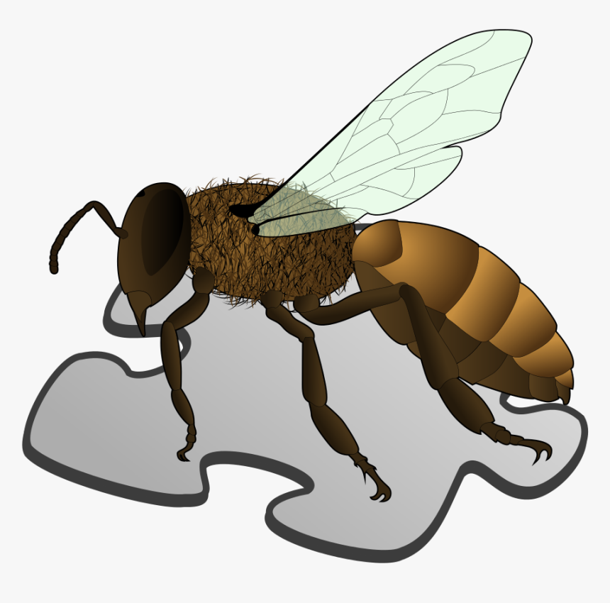Bee Png Picture - Apiculture Of Honey Bee, Transparent Png, Free Download