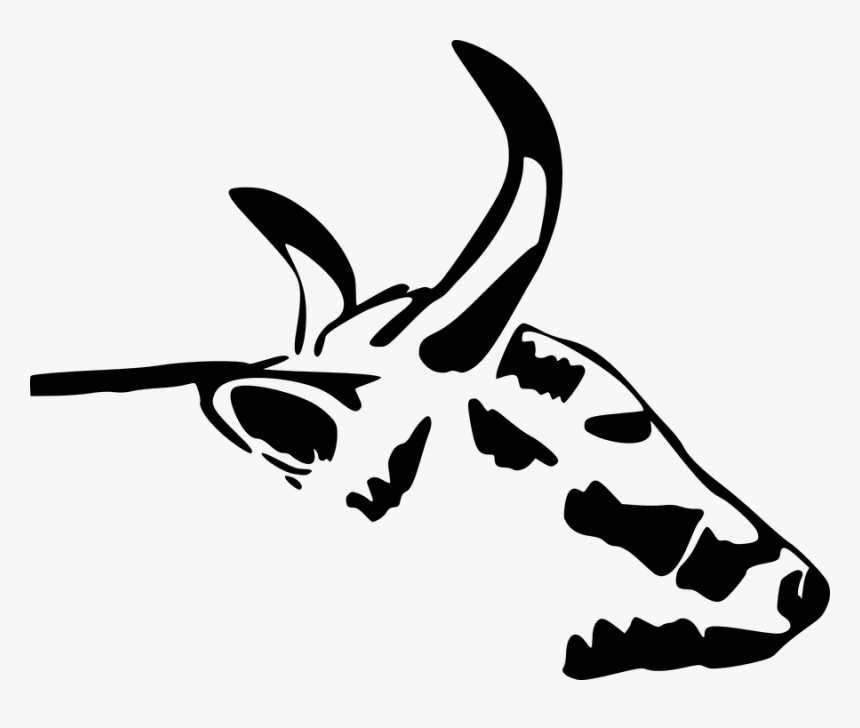 Cabeça De Boi Png - Cow Head, Transparent Png, Free Download