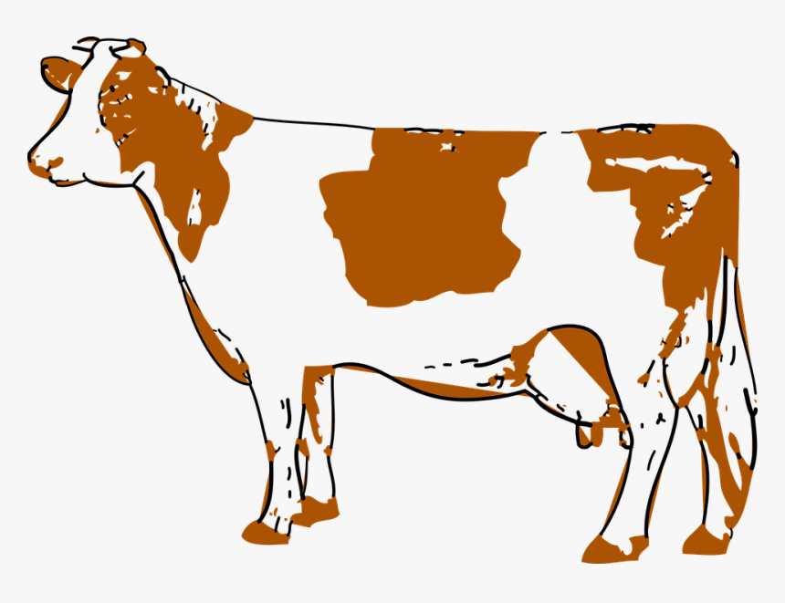 Red Cow Clipart, HD Png Download, Free Download