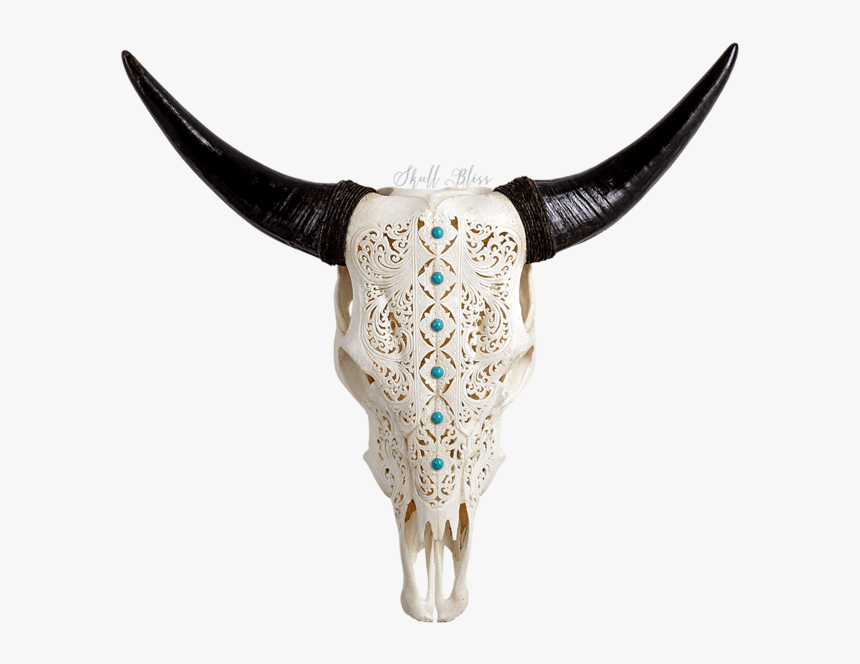 Carved Cow Skull // Xl Horns - Bull, HD Png Download, Free Download