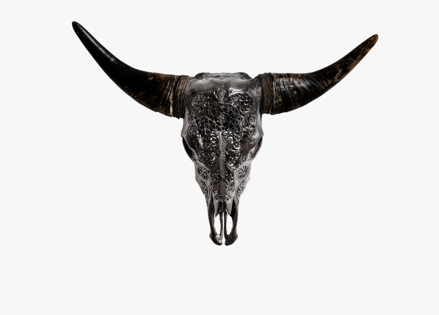 Skull Variant Skull Only - Bull, HD Png Download, Free Download