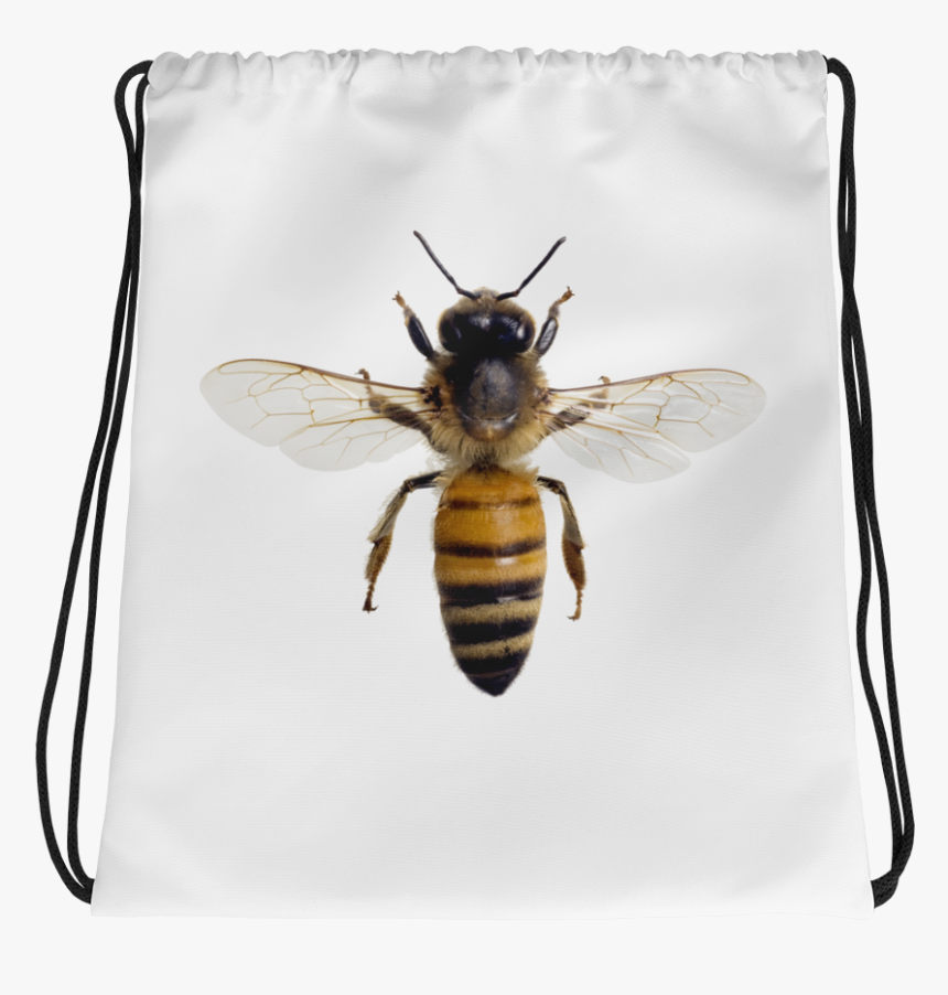 Honey-bee Print Drawstring Bag - Honey Bee Dorsal View, HD Png Download, Free Download