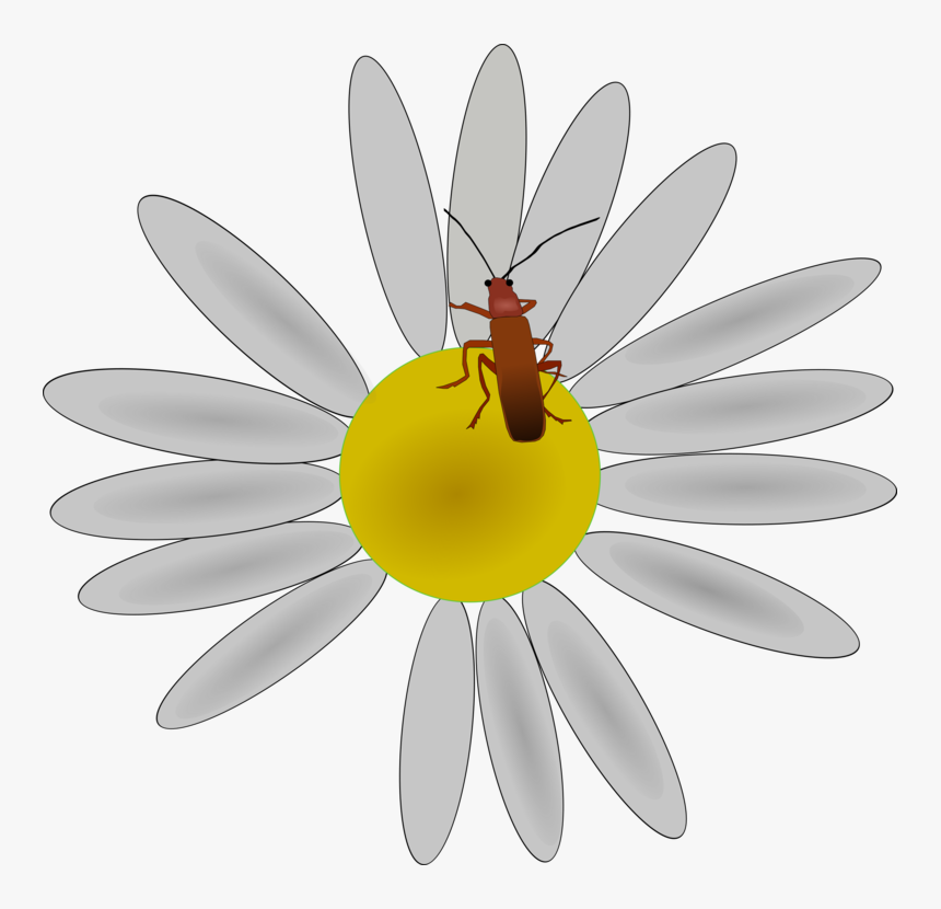 Pollen,flower,honey Bee - Clipart Bug On A Flower, HD Png Download, Free Download