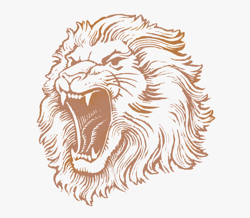 Transparent Lion Face Clipart Black And White - Lionshead Pilsner - Lion Brewery, Inc., HD Png Download, Free Download
