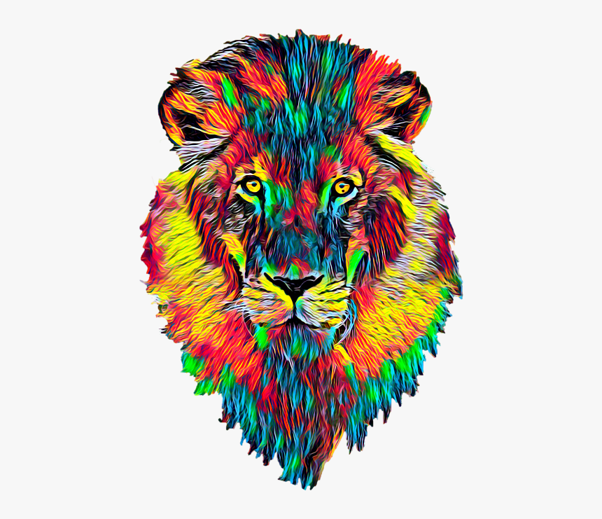 Color Full Lion Face, HD Png Download, Free Download