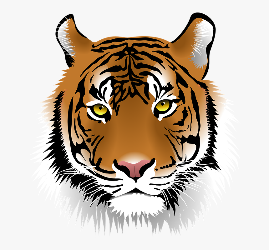 Free Tiger Clip Art Hd Png Download Kindpng