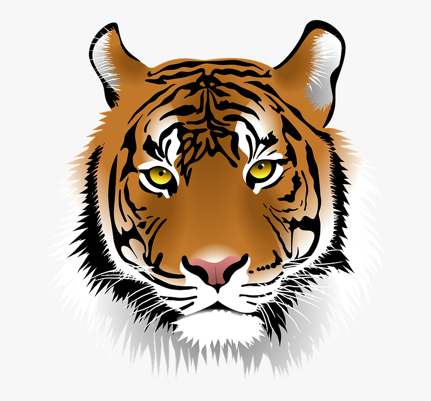 Free Tiger Clip Art, HD Png Download, Free Download