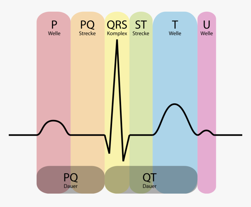 Ecg In Medical Term, HD Png Download, Free Download