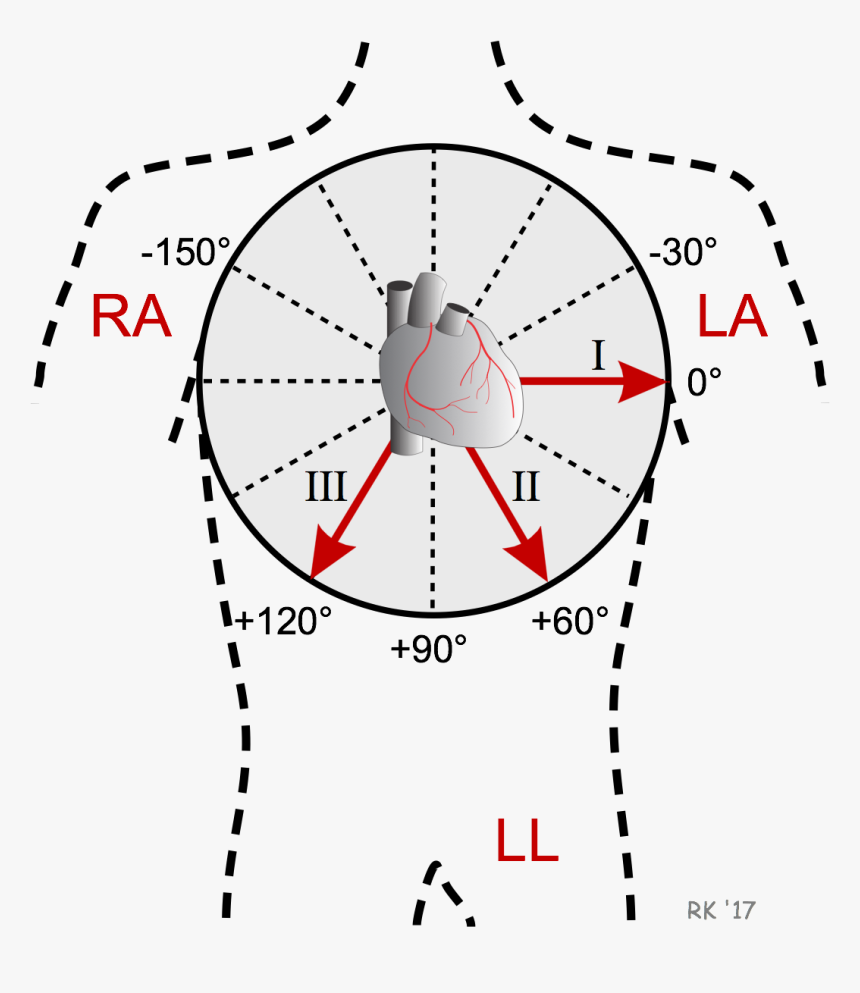 Ecg Bipolar Limb Lead Axis - Augmented Limb Leads, HD Png Download, Free Download