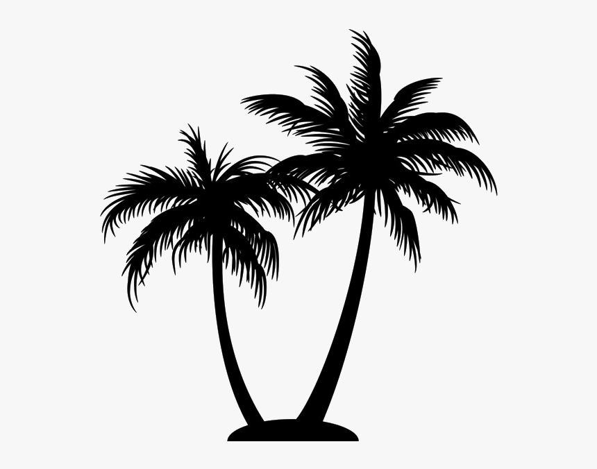 Silhouette Coconut Tree Png - Transparent Palm Tree Silhouette Png, Png Download, Free Download