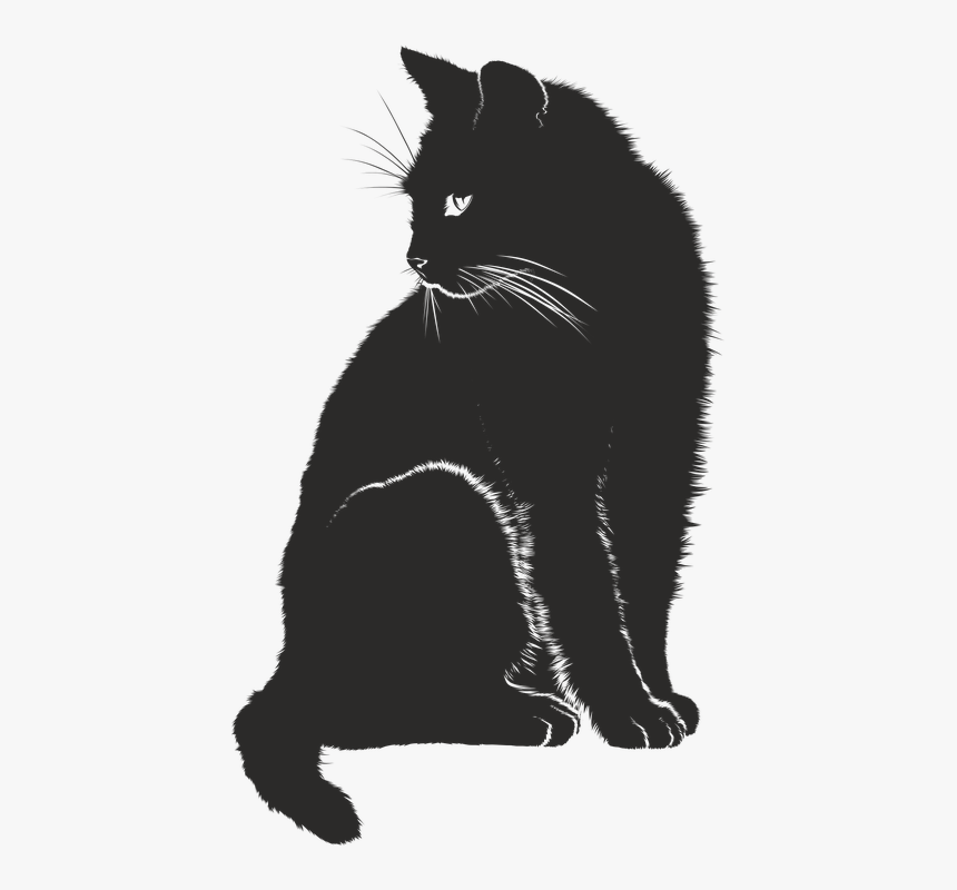 Kitty Clipart Shadow - Silueta De Gato Png, Transparent Png, Free Download