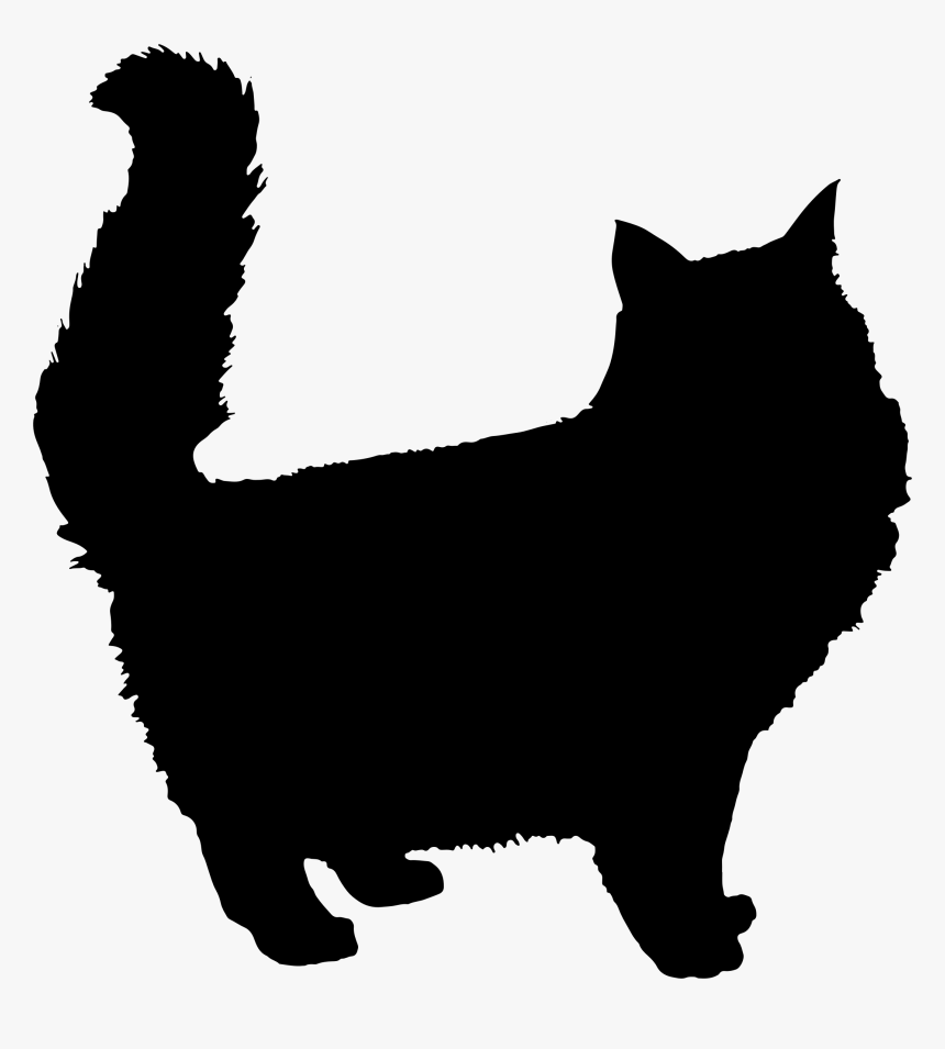 Fluffy Cat Silhouette Icons Png - Maine Coon Cat Silhouette, Transparent Png, Free Download