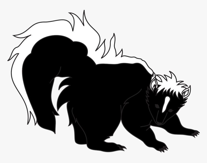 Skunk Vector Png, Transparent Png, Free Download