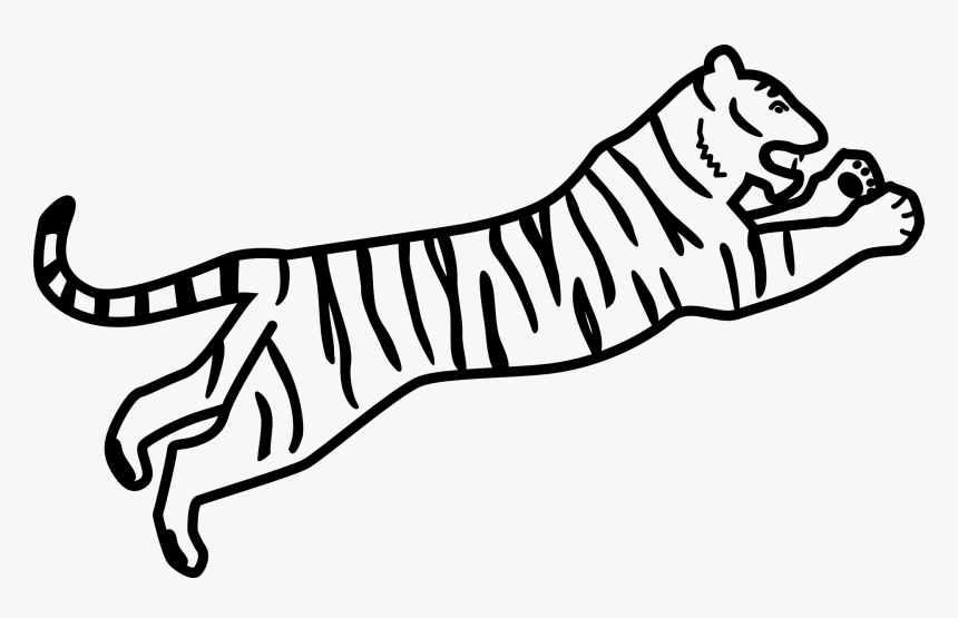 Tiger Outline, HD Png Download, Free Download