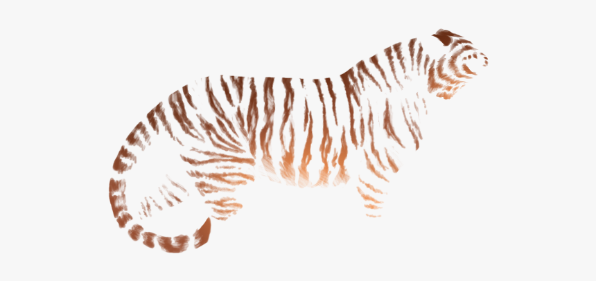 Tiger Stripes Png, Transparent Png, Free Download
