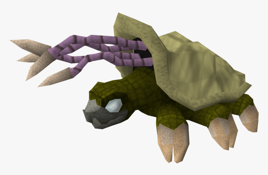 Turtle Runescape, HD Png Download, Free Download