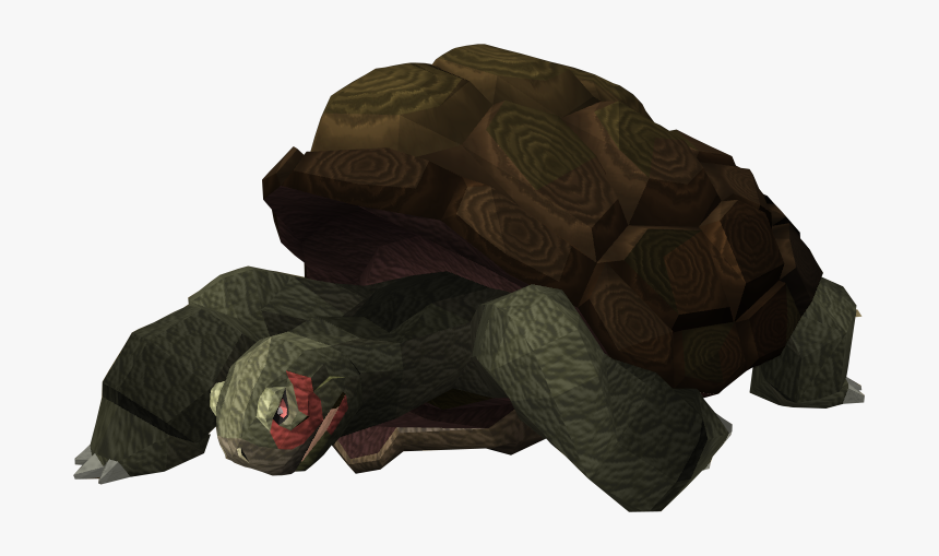 The Runescape Wiki - Galápagos Tortoise, HD Png Download, Free Download