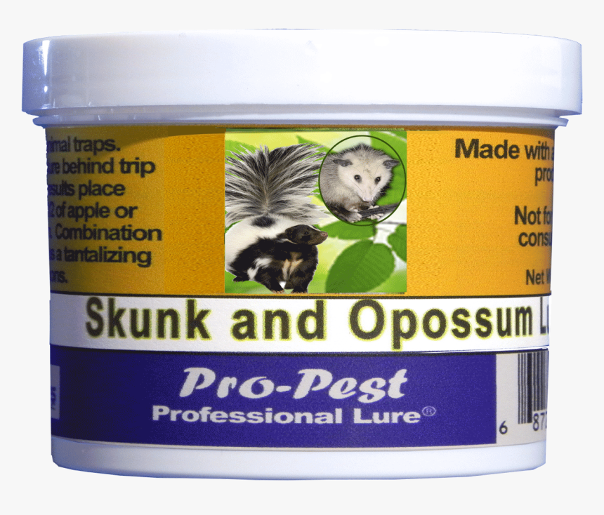 Squirrel, HD Png Download, Free Download