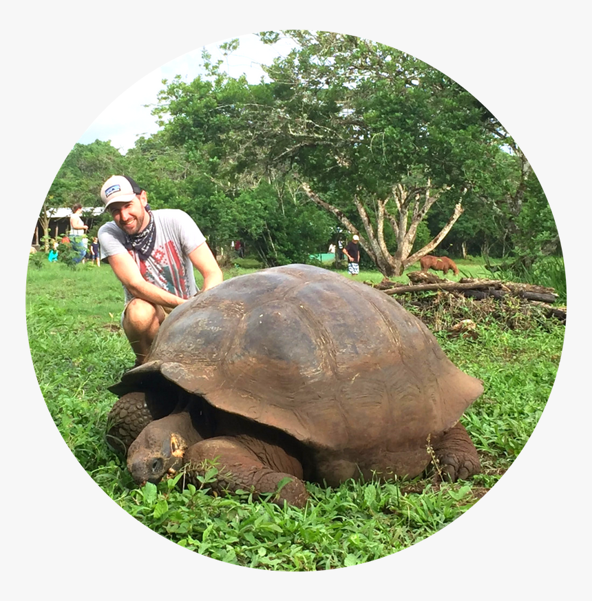 Jacob Marek & Tortoise - Galápagos Tortoise, HD Png Download, Free Download