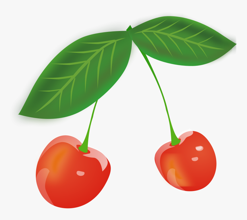 Cherries - Cherries Cartoon Transparent, HD Png Download, Free Download