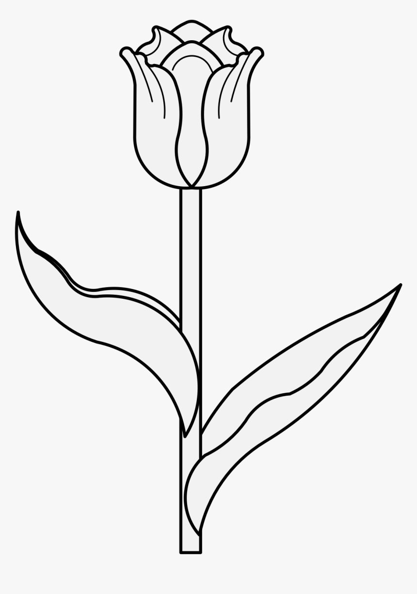 Flower Tulip Black White Png, Transparent Png, Free Download