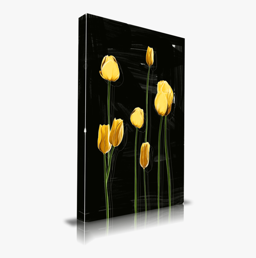 Yellow Tulips - Dandelion, HD Png Download, Free Download