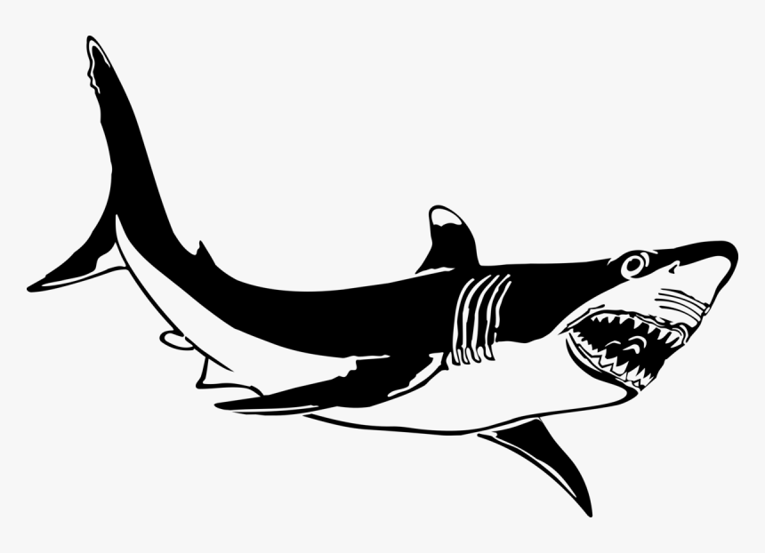Great White Shark Shark Jaws Clip Art - Great White Shark Clipart Black And White, HD Png Download, Free Download