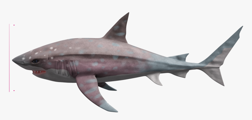 Megalodon Portable Network Graphics Tiger Shark Desktop - Megalodon The Deep, HD Png Download, Free Download